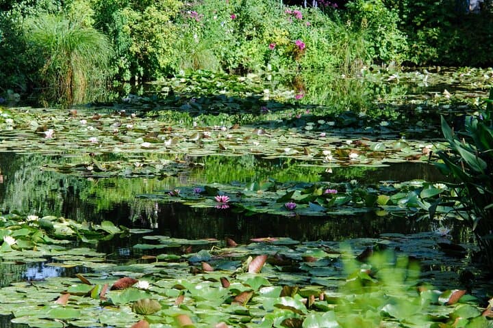 Private Guided Tour of the New Orleans Museum of Art — Skip-the-Line Experience photo 4