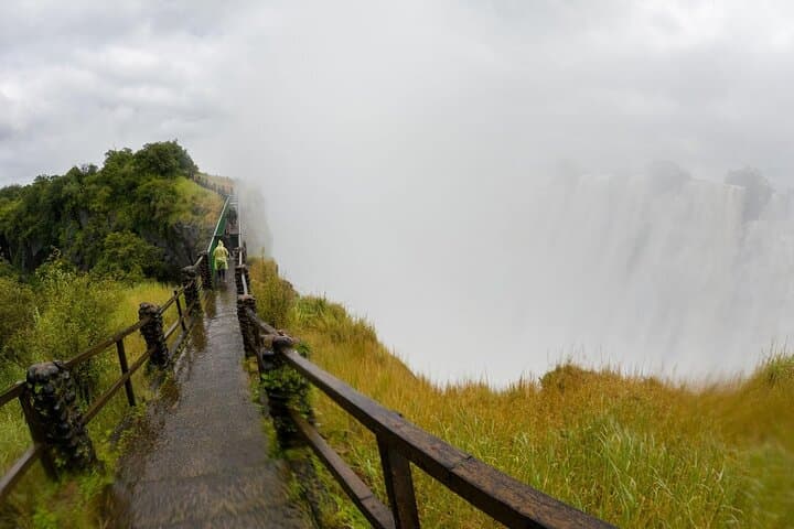 Victoria Falls 1-Day Trip: Zambian Falls, Devil's Pool & Rainforest Trails photo 3
