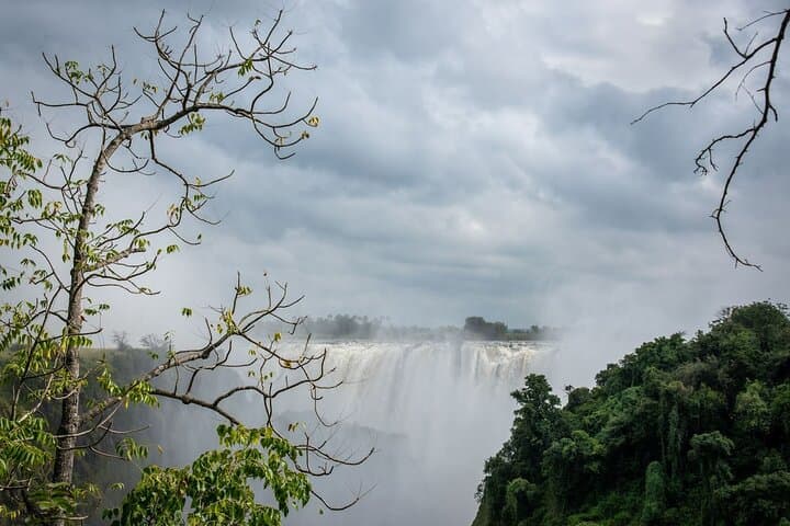 Victoria Falls 1-Day Trip: Zambian Falls, Devil's Pool & Rainforest Trails photo 5