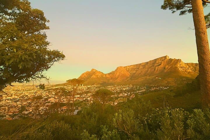 Cape Town in a Day: Table Mountain, Bo-Kaap & Camps Bay Shared City Tour photo 6