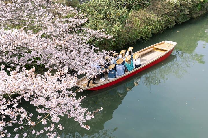 Yanagawa Private River Cruise: Traditional Boat Ride Through Historic Canals
