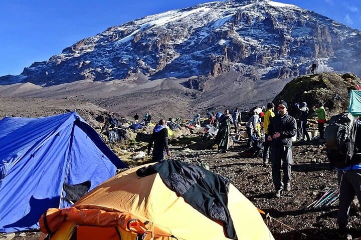 9-Day Northern Circuit Kilimanjaro Climb from Moshi — Expert Guided Summit Trek