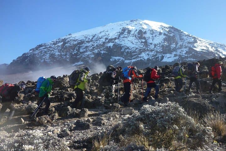 9-Day Northern Circuit Kilimanjaro Climb from Moshi — Expert Guided Summit Trek photo 2