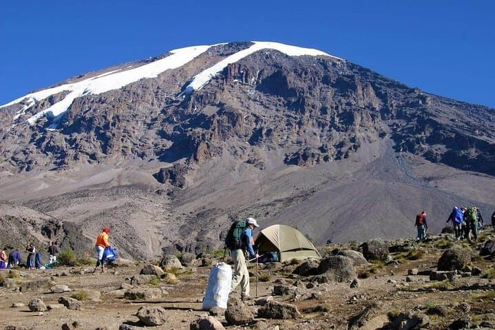 Kilimanjaro Rongai 7-Day Private Trek — Acclimatization Day & Meals Included photo 4