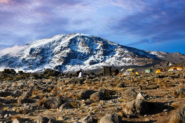 9-Day Northern Circuit Kilimanjaro Climb from Moshi — Expert Guided Summit Trek photo 5