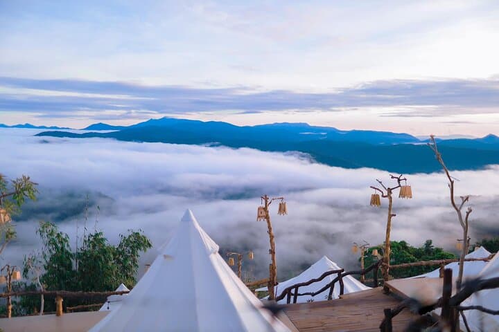 Da Lat Sunrise Cloud Hunting: Cau Dat Tea Hills & Strawberry Farms photo 2