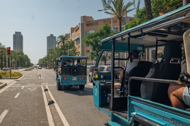 Barcelona Panoramic Tuk Tuk Tour: Sagrada, Seafront & Montjuïc in 3 Hours photo 4