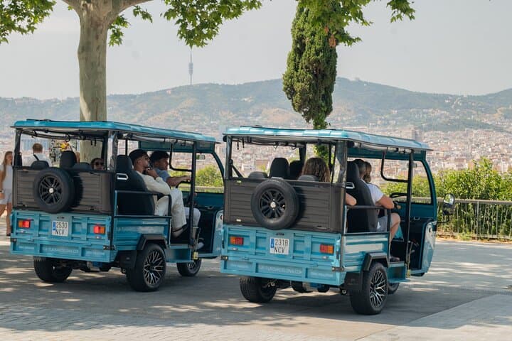 Barcelona Panoramic Tuk Tuk Tour: Sagrada, Seafront & Montjuïc in 3 Hours