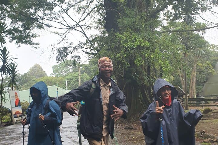 Kilimanjaro One-Day Hike to Mandara Hut and Maundi Crater photo 6