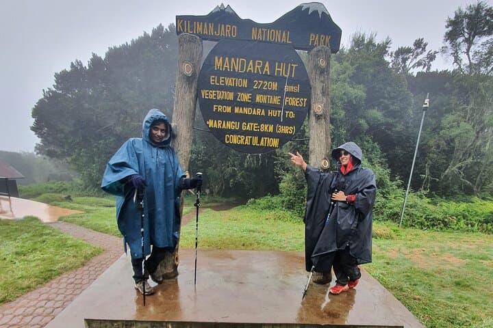 Kilimanjaro One-Day Hike to Mandara Hut and Maundi Crater photo 4