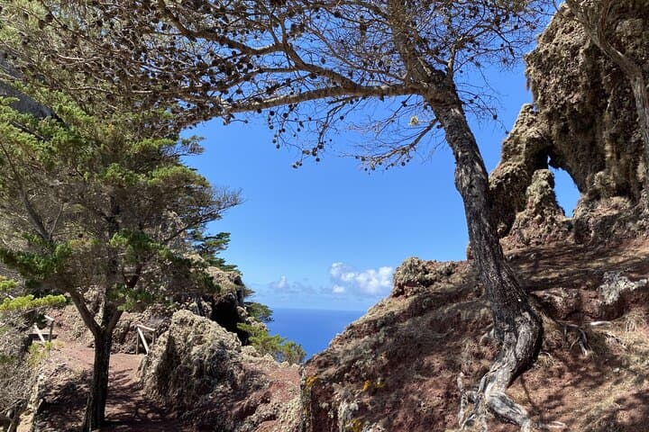 Porto Santo Pico Branco & Terra Cha Hike — PR1 Cliffs and Picnic Viewpoints photo 3