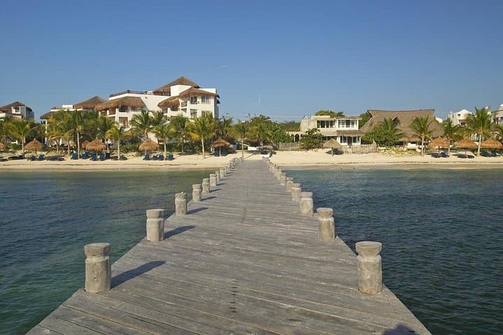 Puerto Morelos & Cenote Verde Lucero: Snorkel the Mesoamerican Reef from Cancun photo 4