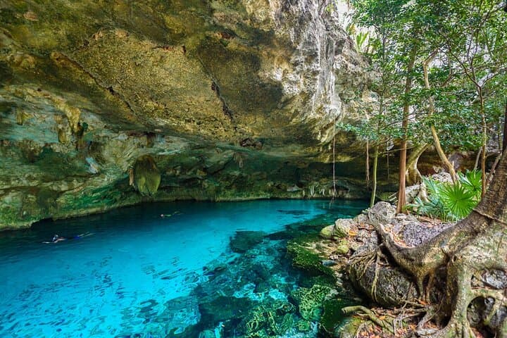 Tulum Ruins & Cenote Jungle Adventure from Cancún — Private Day Trip