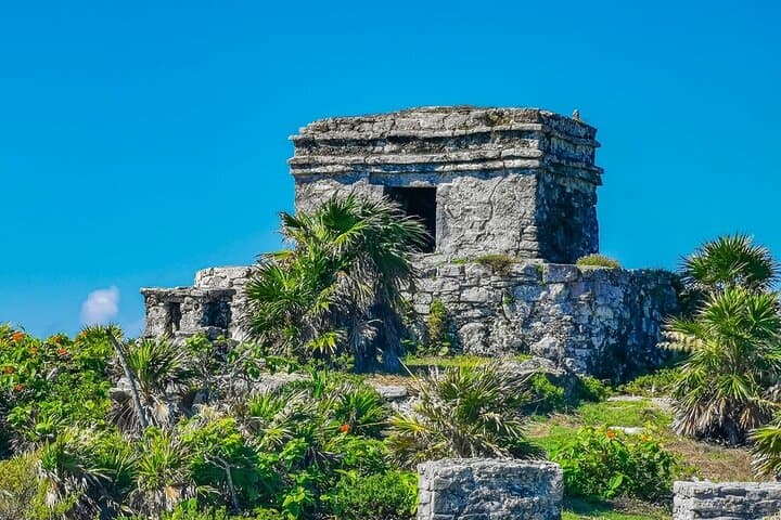 Tulum Ruins & Cenote Jungle Adventure from Cancún — Private Day Trip photo 2