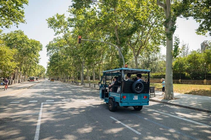 Barcelona Panoramic Tuk Tuk Tour: Sagrada, Seafront & Montjuïc in 3 Hours photo 5