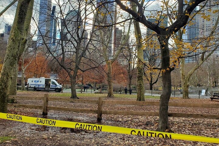 Central Park Scandal & Vice Walking Tour — Hidden Histories of Manhattan's Park photo 1