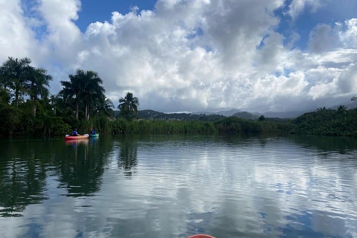 Rainforest Kayak Tour at Río Mameyes — Luquillo Mangrove & Estuary Paddle photo 3