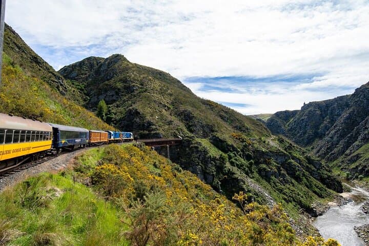 Taieri Gorge Railway & Dunedin Shore Excursion — Scenic Train Ride and City Highlights photo 6