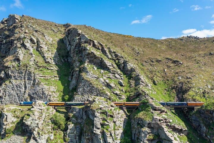Taieri Gorge Railway & Dunedin Shore Excursion — Scenic Train Ride and City Highlights photo 4