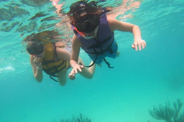 Snorkel with Sea Turtles in Akumal Bay: Guided 1-Hour Turtle Encounter photo 2