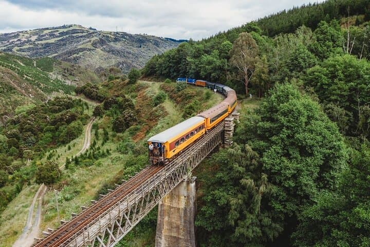 Taieri Gorge Railway & Dunedin Shore Excursion — Scenic Train Ride and City Highlights