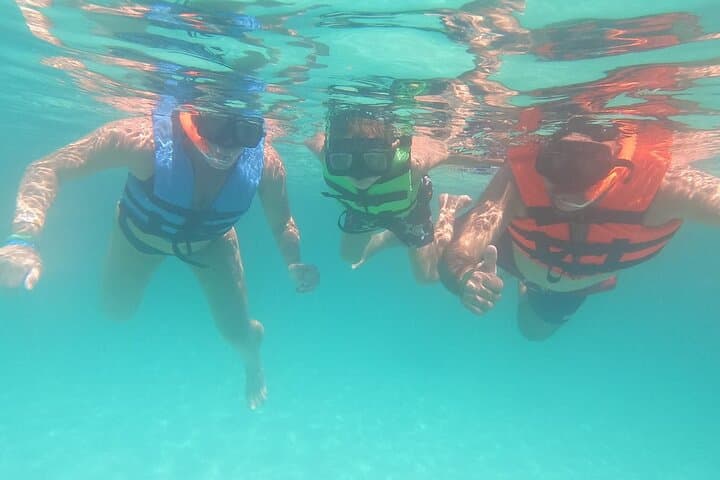 Snorkel with Sea Turtles in Akumal Bay: Guided 1-Hour Turtle Encounter photo 6