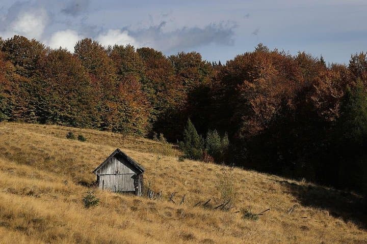 Off-Road Adventure from Bucharest to Grohotiș Mountains — Grohotis Trail 4x4 Day Trip photo 3