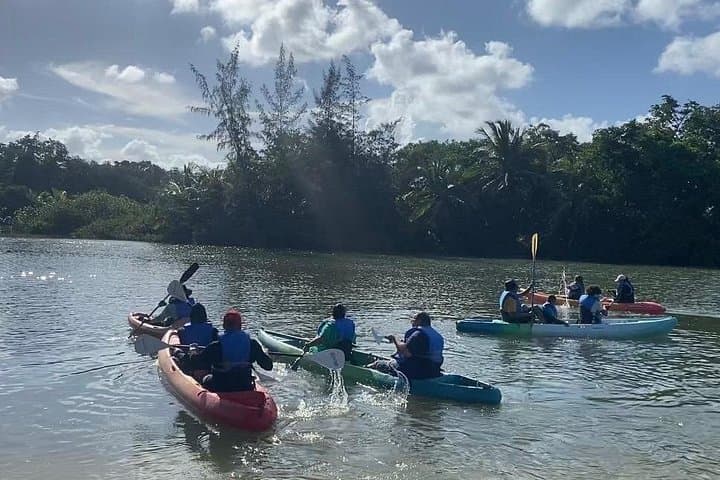 Rainforest Kayak Tour at Río Mameyes — Luquillo Mangrove & Estuary Paddle photo 6