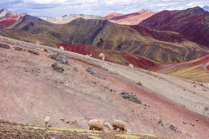 Palcoyo Mountains Full-Day Tour from Cusco: Easier Rainbow Peaks & Andean Culture