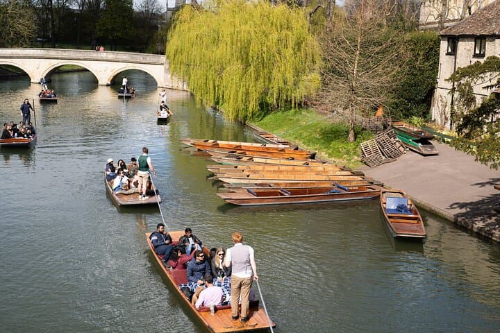 Guided Punting on the River Cam: Cambridge Colleges Tour (45-Minute) photo 5