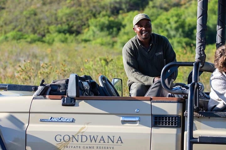 Big Five in 48 Hours: Luxury 2-Day Safari to Gondwana from Cape Town photo 3