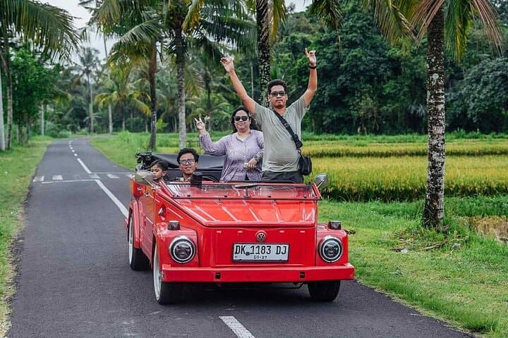 ATV and VW Scenic Ubud Combo: Rice Fields, Jungle & Waterfalls photo 5