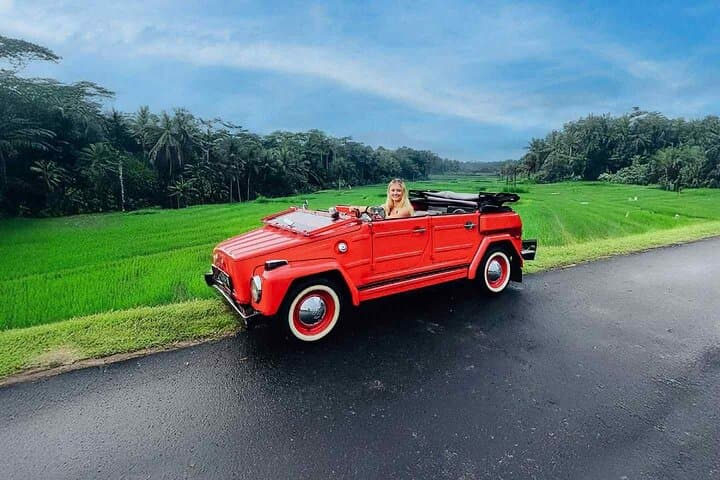 Ayung River Rafting & VW Classic Car Tour — Ubud Day Trip photo 4