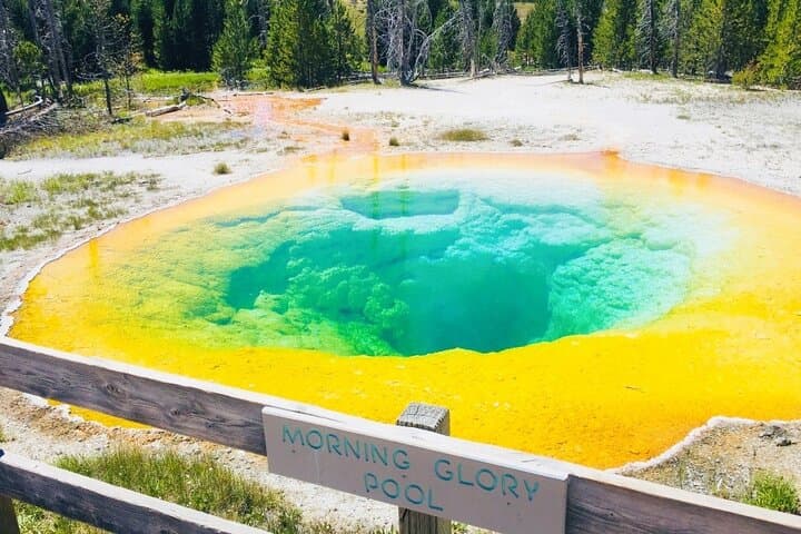 Salt Lake City to Yellowstone & Mount Rushmore: 4-Day Grand Teton, Devil's Tower & Crazy Horse Road Tour