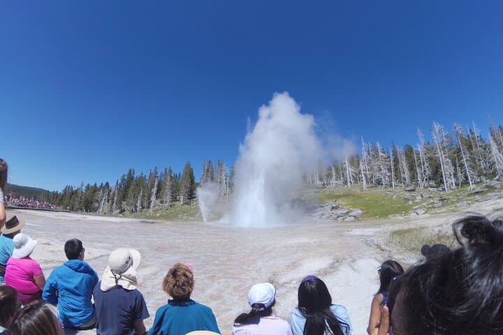 San Francisco to Yellowstone & Las Vegas: 7-Day National Parks Road Tour photo 6