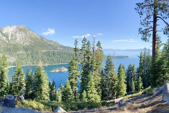 San Francisco to Yellowstone & Las Vegas: 7-Day National Parks Road Tour photo 2