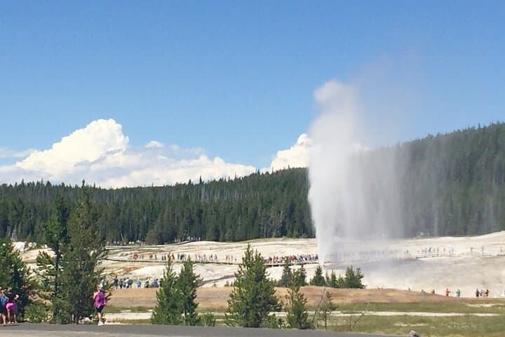 Salt Lake City to Yellowstone & Mount Rushmore: 4-Day Grand Teton, Devil's Tower & Crazy Horse Road Tour photo 3