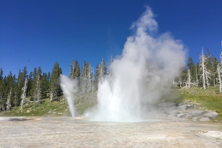 Salt Lake City to Yellowstone & Mount Rushmore: 4-Day Grand Teton, Devil's Tower & Crazy Horse Road Tour photo 5
