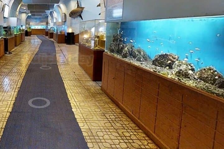 Nha Trang Half-Day Highlights & Secret Spots: Oceanography, Hon Chong and Po Nagar photo 3