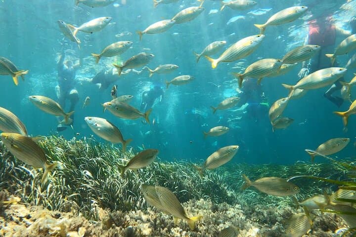 Costa Blanca Full-Day: Altea, Moraira & Jávea Boat Trip with Snorkel and Mediterranean Lunch photo 5