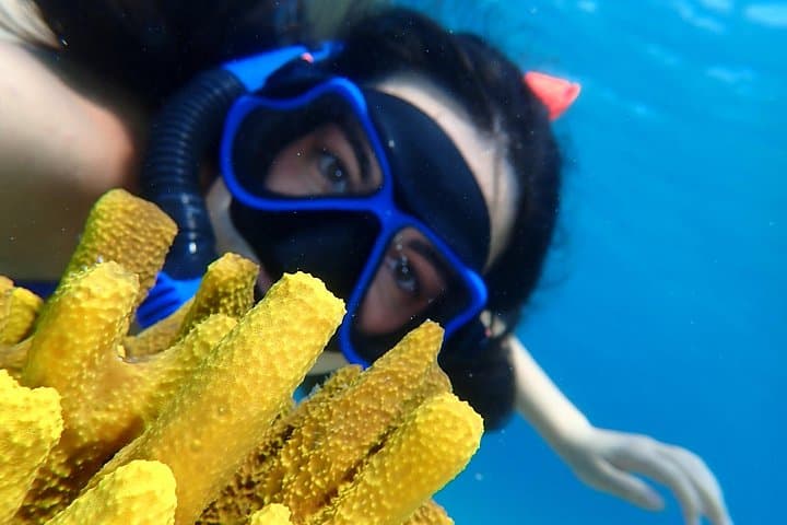 Snorkel Secret Caves and Beaches on Lefkada — Marine Adventure Cruise photo 3