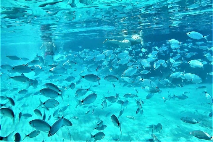 Ibiza Speed Boat Snorkel & Cave Tour — Cala Bassa to Cala Conta photo 3