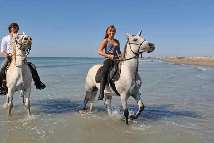 Sharm El-Sheikh Beach Horseback Ride: 1-Hour Sea & Desert Escape photo 6