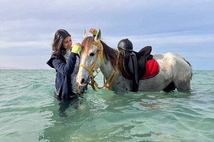 Sharm El-Sheikh Beach Horseback Ride: 1-Hour Sea & Desert Escape photo 5