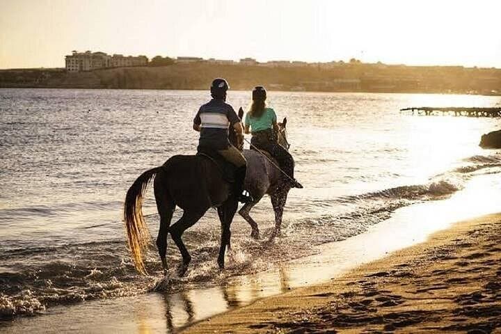 Sharm El-Sheikh Beach Horseback Ride: 1-Hour Sea & Desert Escape photo 2
