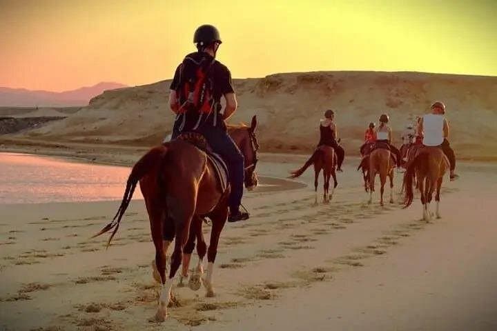 Sharm El-Sheikh Beach Horseback Ride: 1-Hour Sea & Desert Escape photo 4