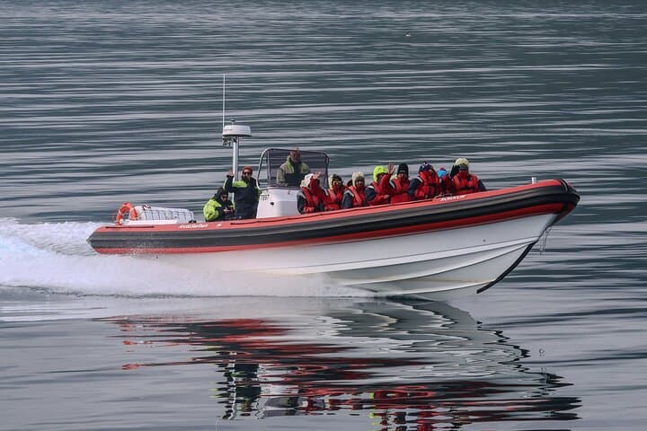 Express Whale Watching from Dalvík — Speedboat RIB Tours in Eyjafjörður photo 4