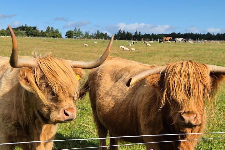 Loch Ness 360° Private Tour — Urquhart, Cawdor Castle & Culloden Battlefield photo 4