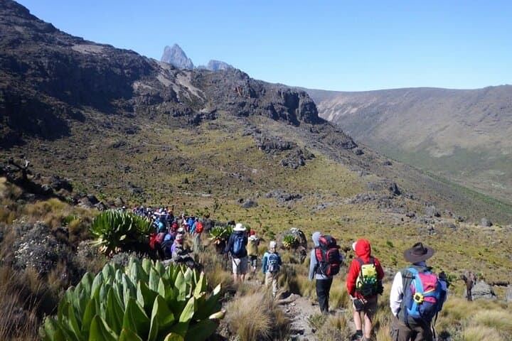 Mt. Kenya 4-Day Expedition to Point Lenana — Summit Trek from Nairobi photo 3