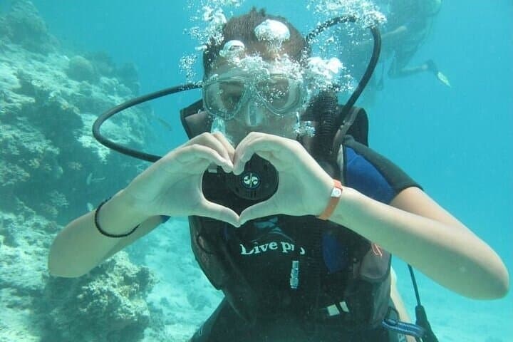 Hurghada Full-Day Beginner Diving: Explore the Red Sea Reefs